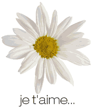 pour toi